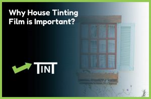 Why House Tinting Film is Important?
